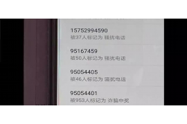 资中清数公司哪里找？——全面解析资中清数公司信息与服务