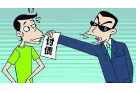标题：追讨债务的图片：揭开债务追收背后的故事